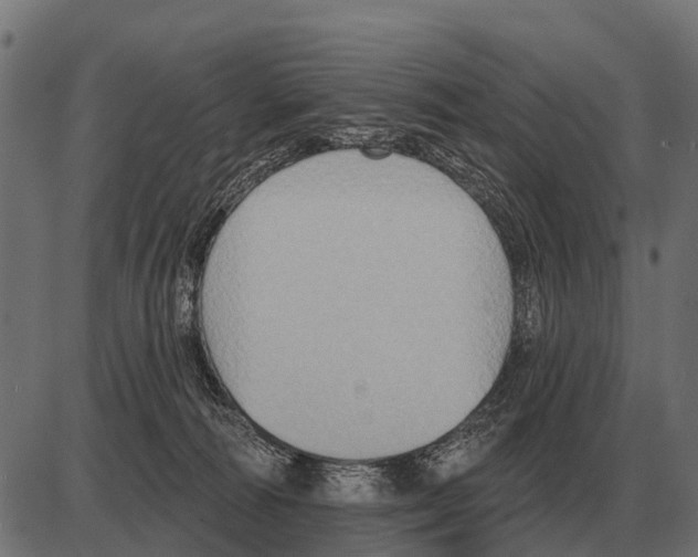 X0000084020226200703161747