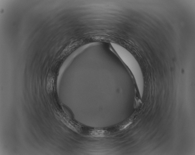 X0000084020227200703161747