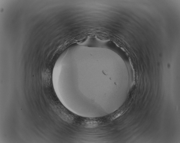 X0000084020228200703161747