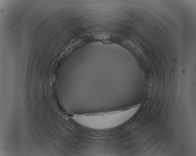 X0000084020229200703161747