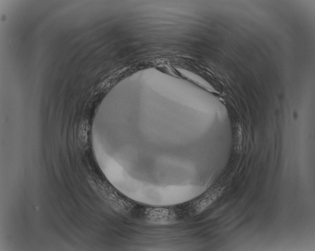 X0000084020230200703161747