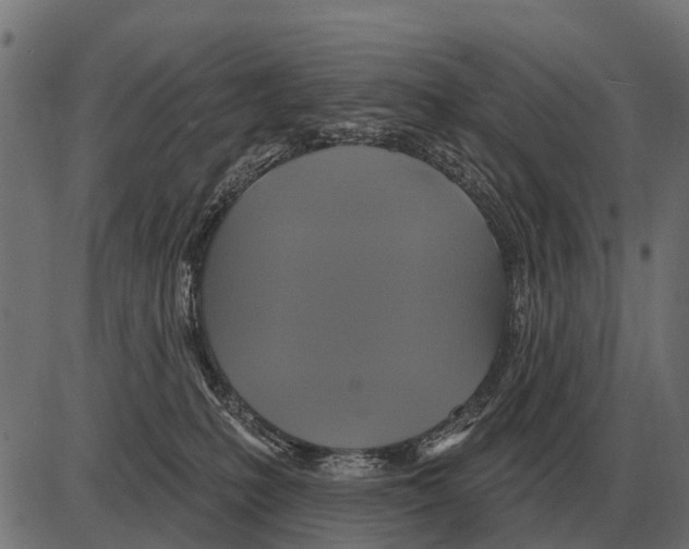 X0000084020231200703161747