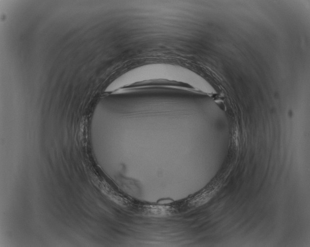 X0000084020233200703161747