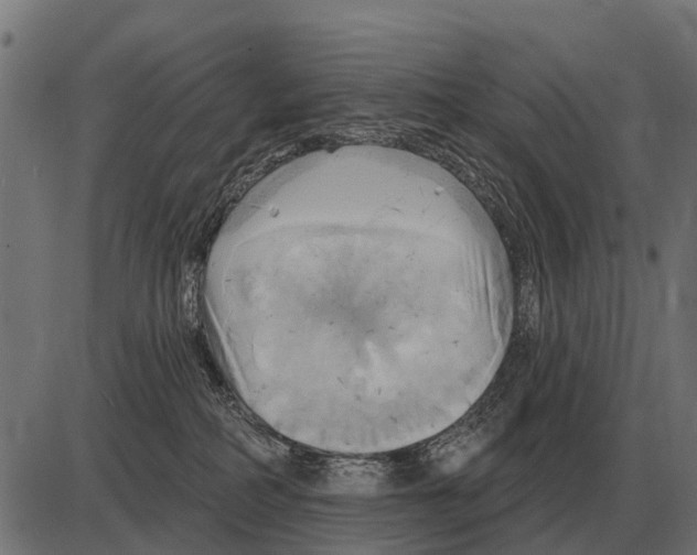 X0000084020234200703161747