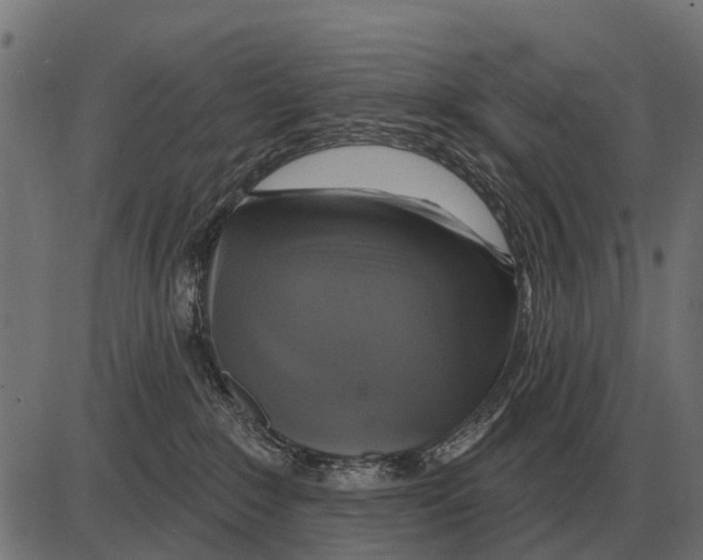 X0000084020235200703161747