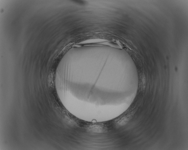 X0000084020236200703161747