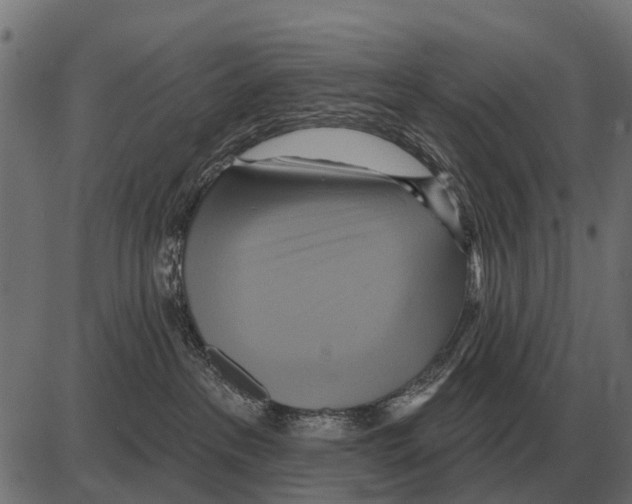 X0000084020237200703161747