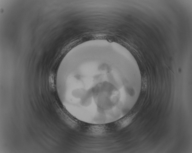 X0000084020238200703161747