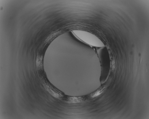 X0000084020239200703161747