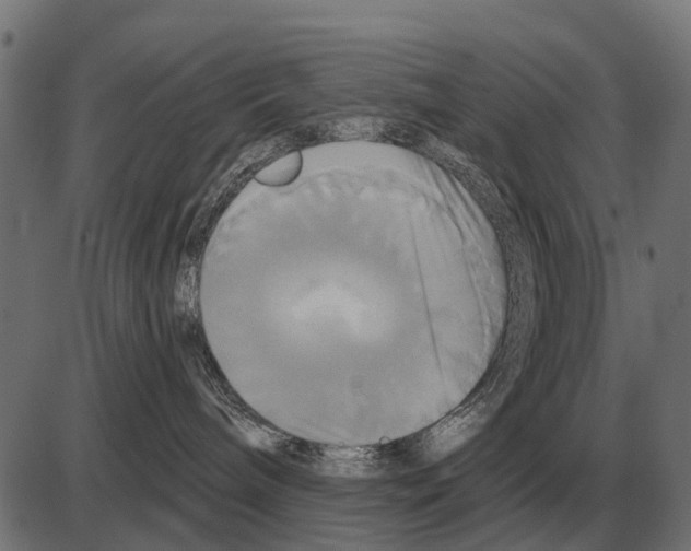 X0000084020240200703161747