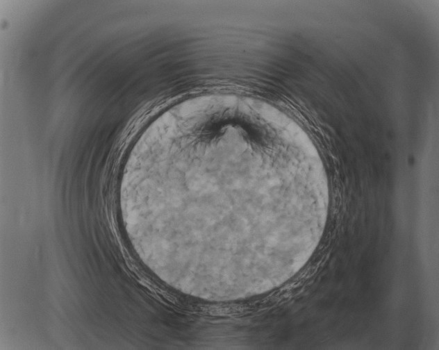 X0000084020241200703161746