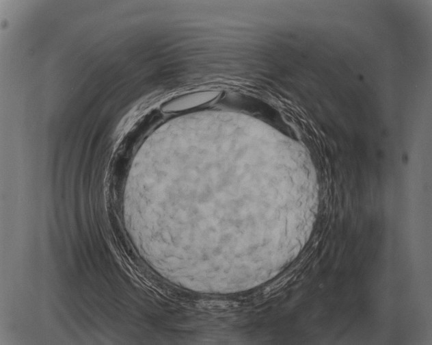 X0000084020242200703161746