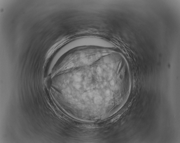 X0000084020245200703161747