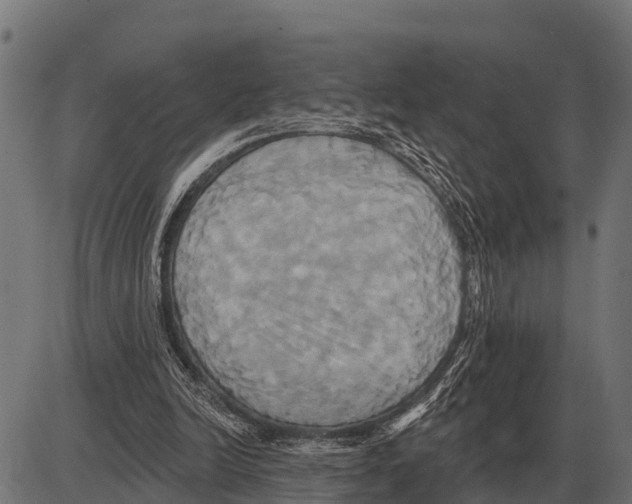 X0000084020246200703161747