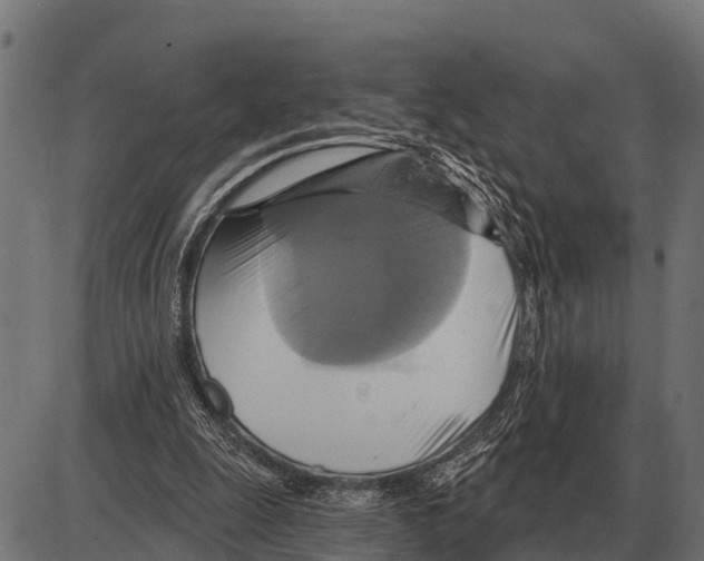 X0000084020247200703161747