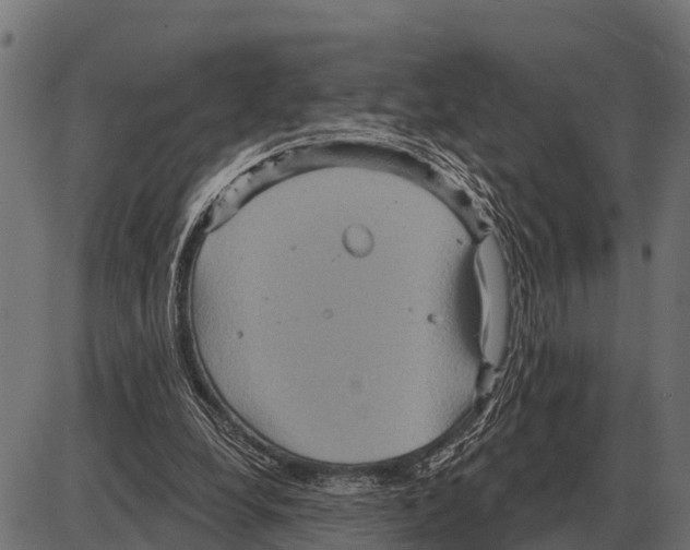 X0000084020248200703161747