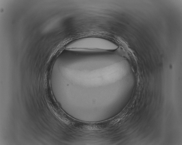 X0000084020250200703161747