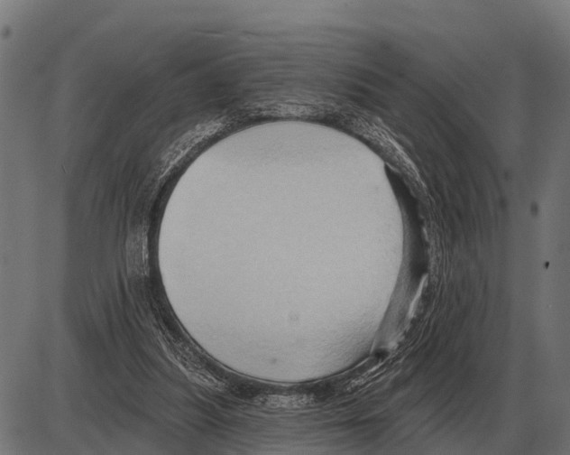 X0000084020251200703161747