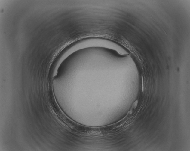 X0000084020252200703161747