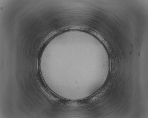 X0000084020253200703161747