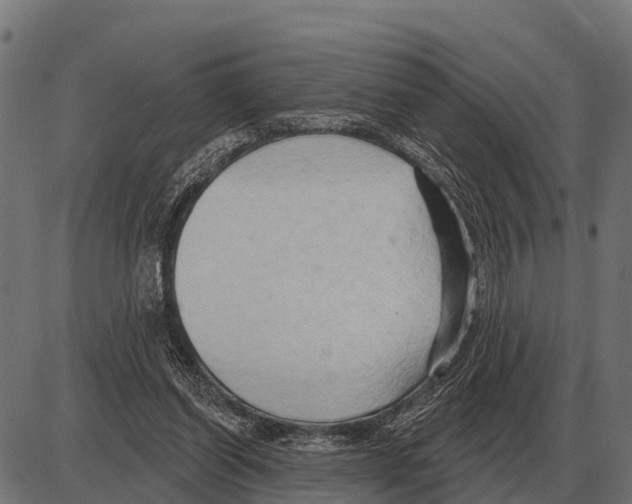 X0000084020254200703161747