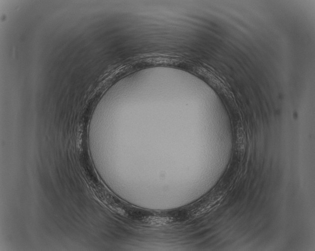 X0000084020255200703161747