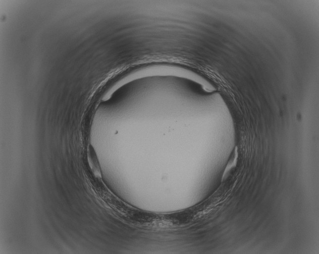 X0000084020256200703161747