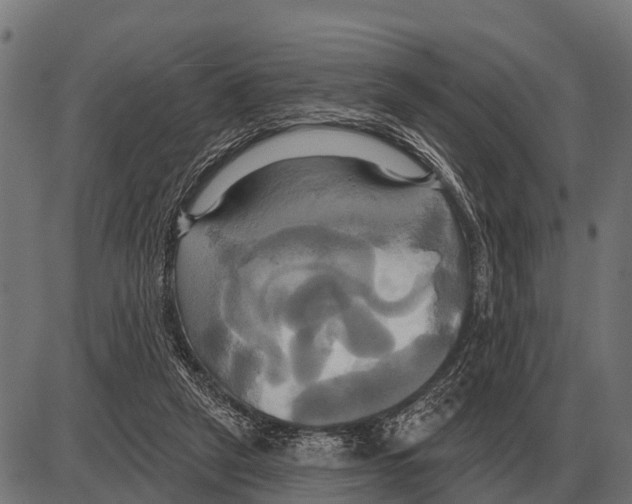 X0000084020257200703161747