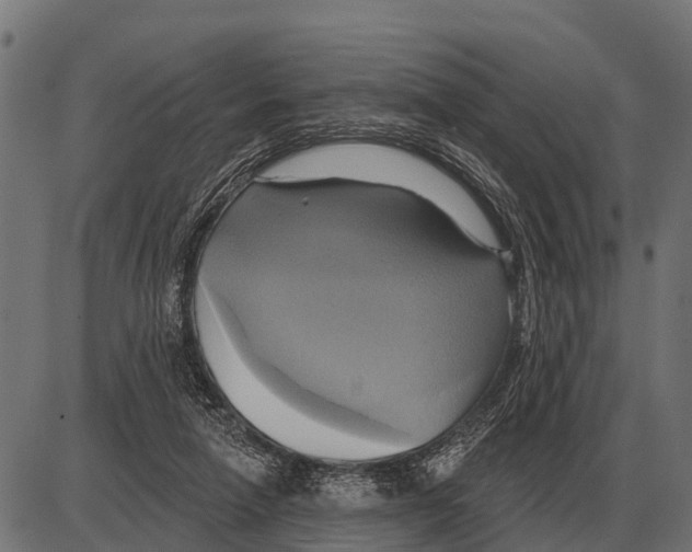 X0000084020258200703161747