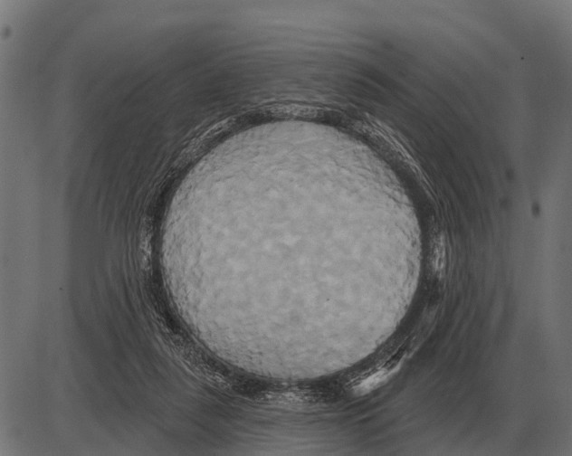 X0000084020259200703161747