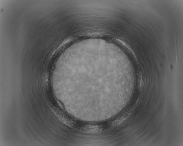 X0000084020260200703161747