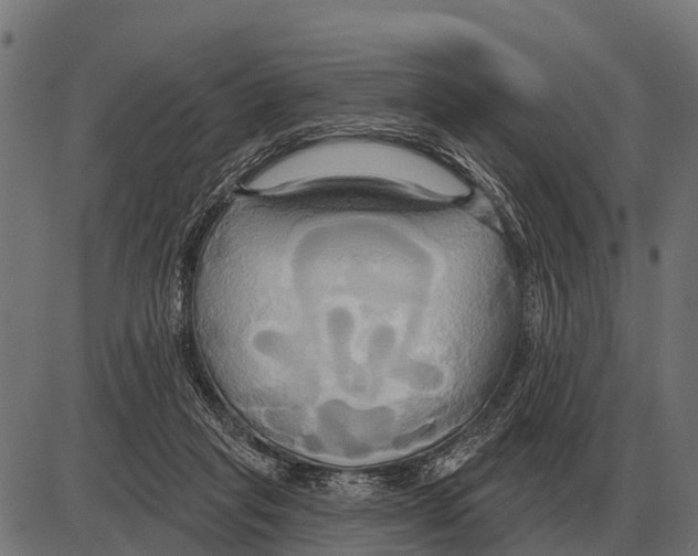 X0000084020261200703161747