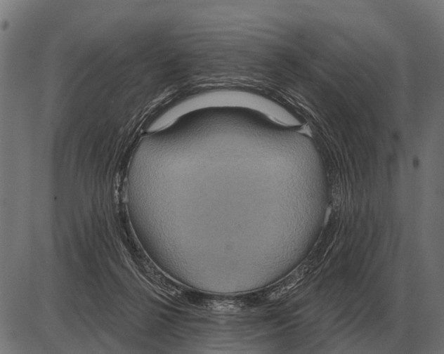 X0000084020264200703161747