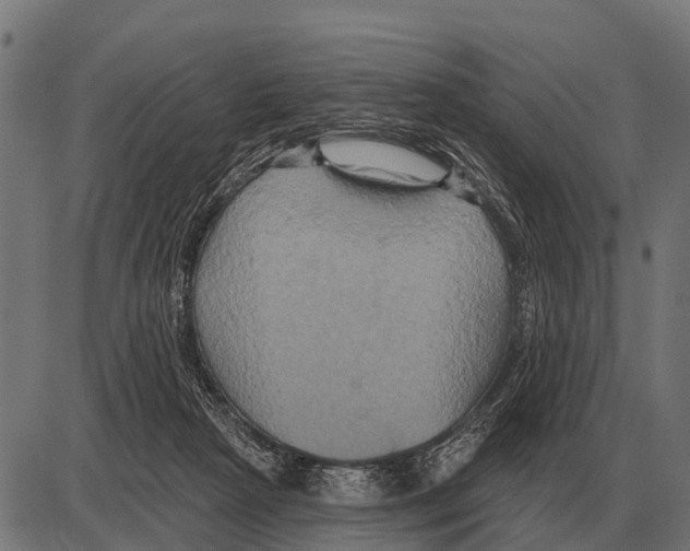 X0000084020265200703161747