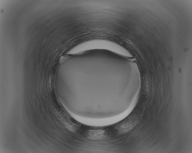 X0000084020266200703161747