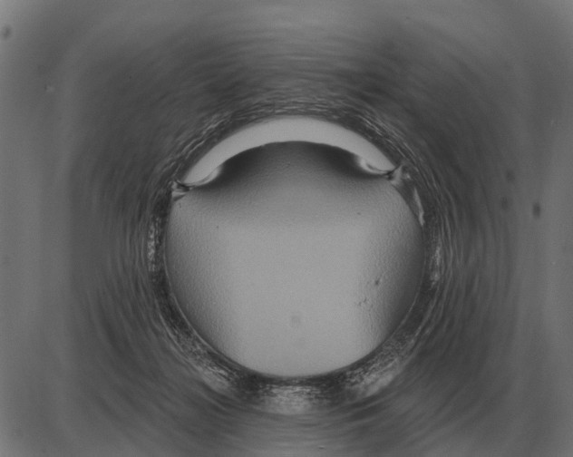 X0000084020268200703161747