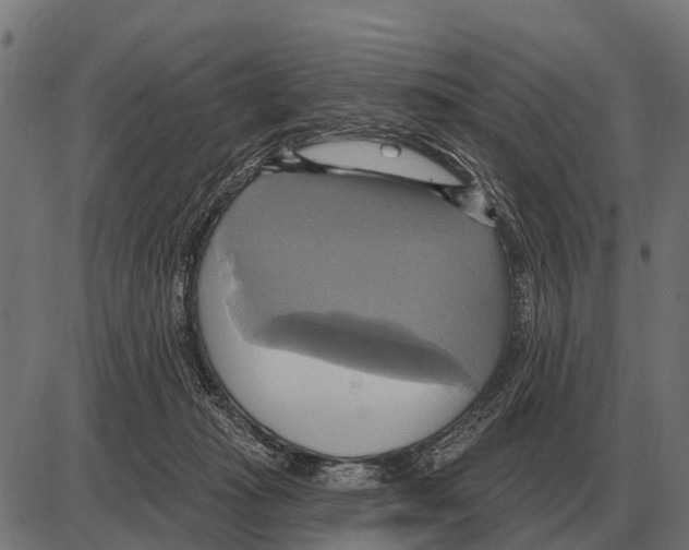 X0000084020269200703161747