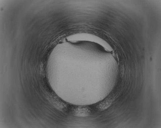 X0000084020270200703161747