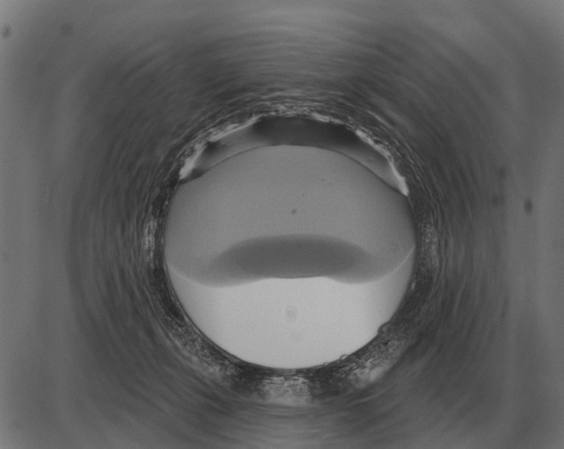 X0000084020271200703161747