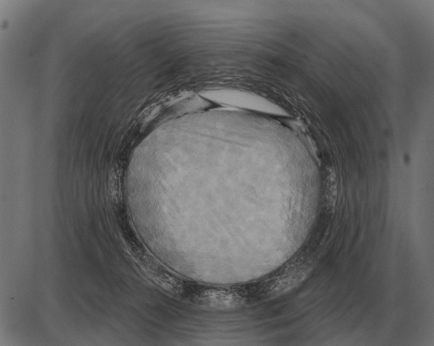 X0000084020272200703161747