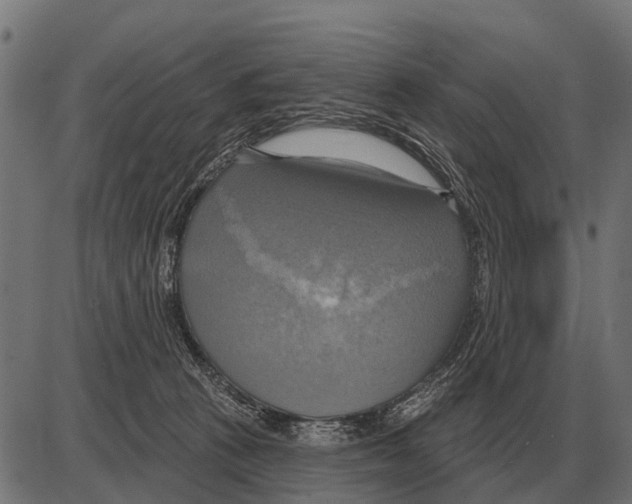 X0000084020273200703161747