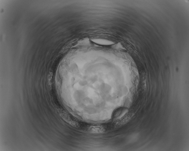 X0000084020275200703161747