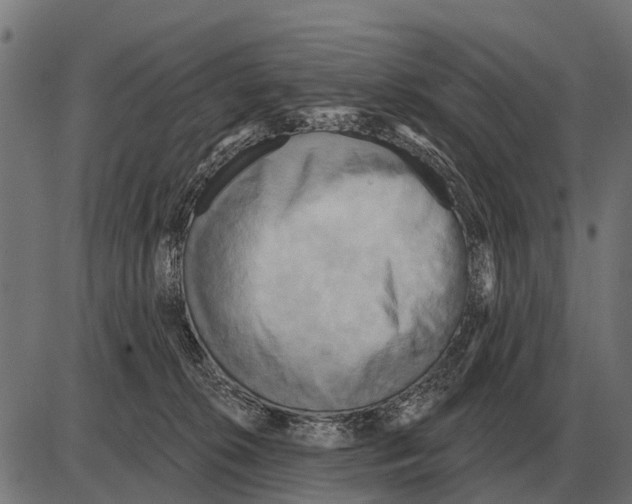 X0000084020276200703161747