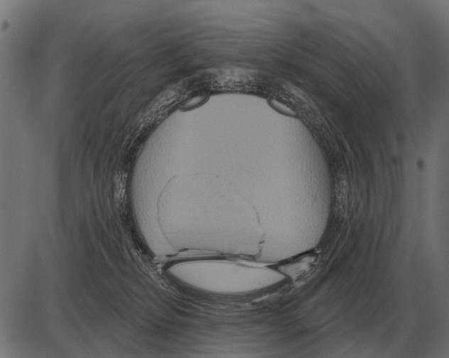 X0000084020278200703161747