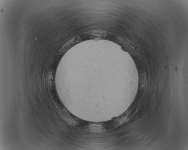 X0000084020279200703161747