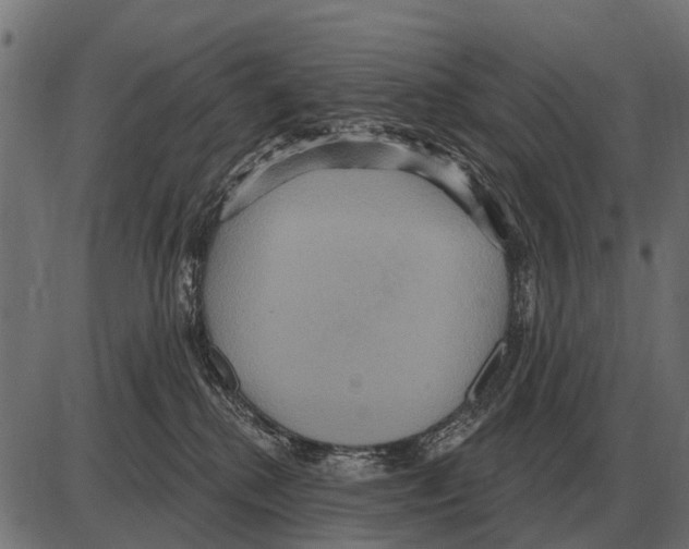 X0000084020280200703161747