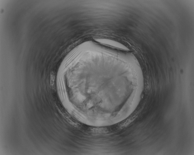 X0000084020281200703161747