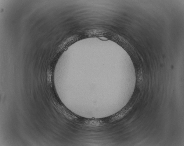 X0000084020282200703161747