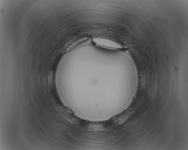 X0000084020283200703161747