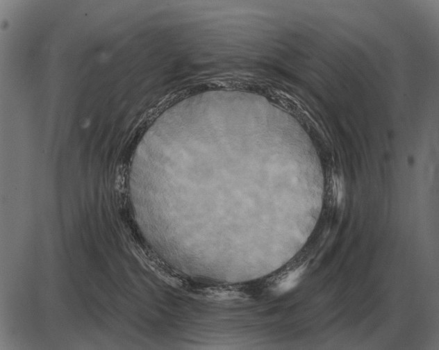 X0000084020284200703161747